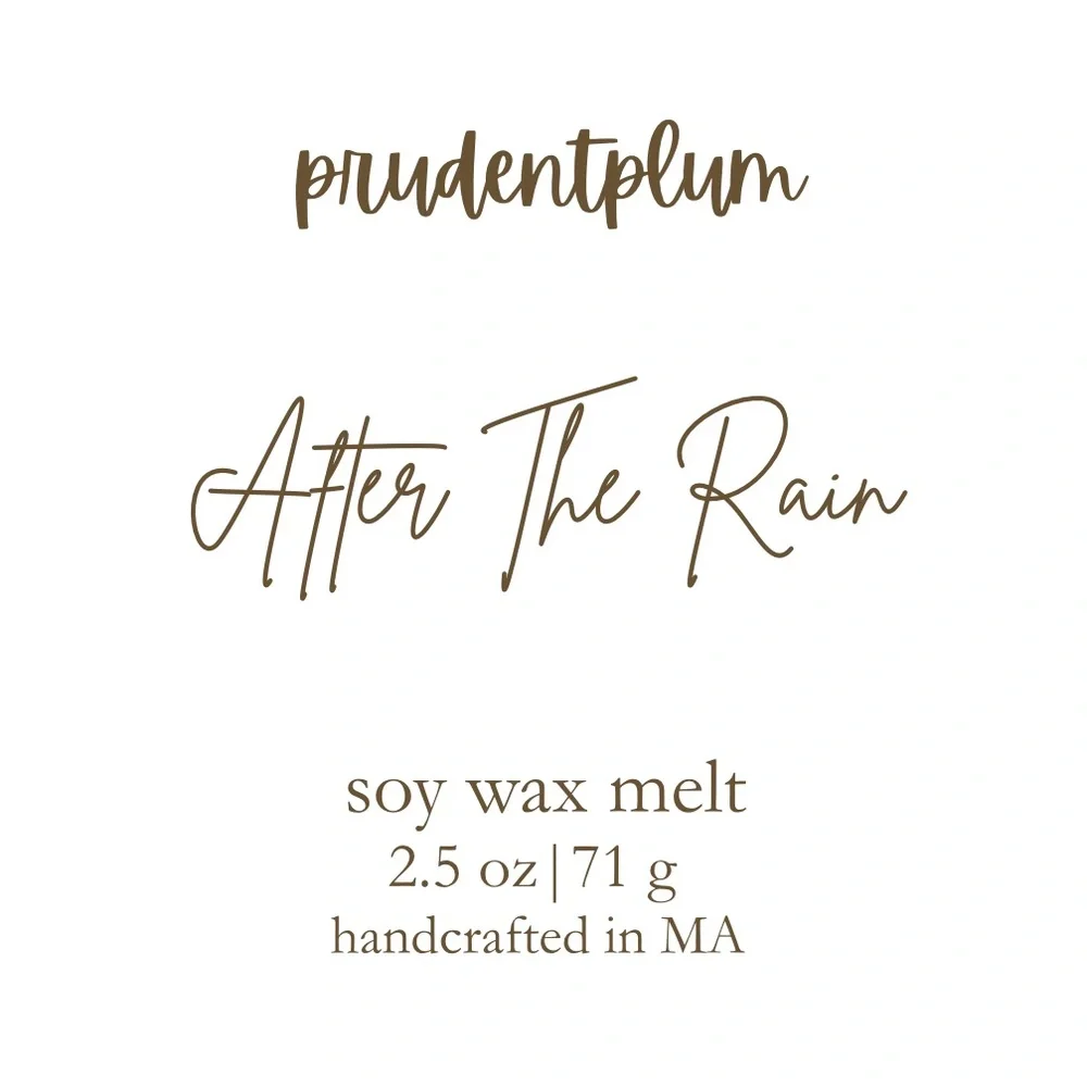 After The Rain Soy Wax Melt  2.5 oz | Melts For Wax Warmer Clamshell